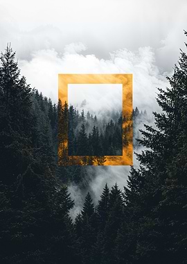 Forest Framed