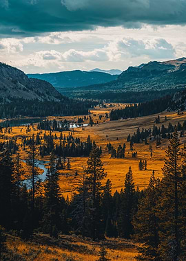 Yellowstone National Park Landscape