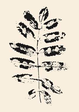 Black and White Leaf Print