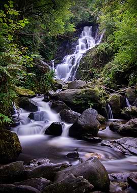 Waterfall in Lush Forest