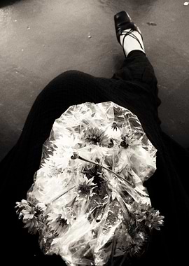 Flowers in Plastic Bag