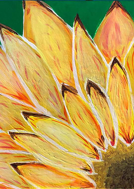 Sunflower Close-Up