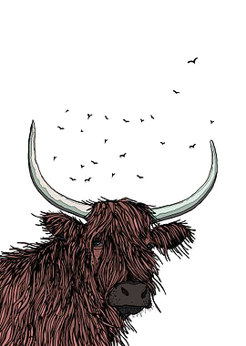 Highland Cow Illustration