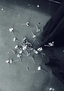 Black and White Flowers