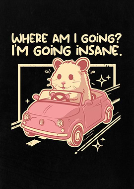 Hamster Driving Insane