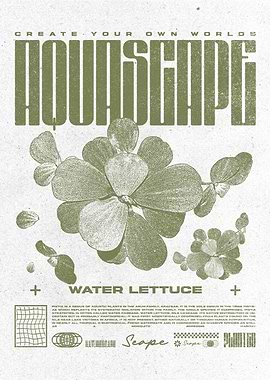 Water Lettuce Floating Aquarium Plant Aquascape