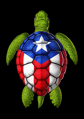 Puerto Rican Turtle