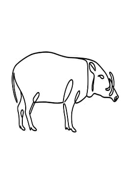 One Line Babirusa Drawing