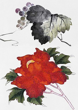 Watercolor Peony and Grapes