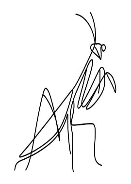 Praying Mantis Line Art