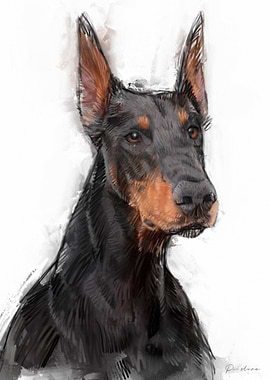 Doberman Portrait
