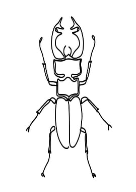 Stag Beetle Line Art