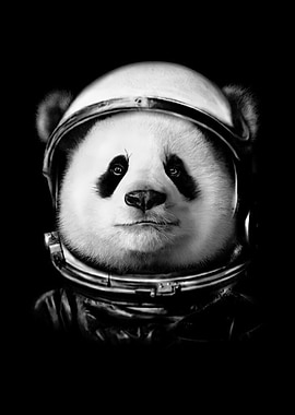 Panda Astronaut