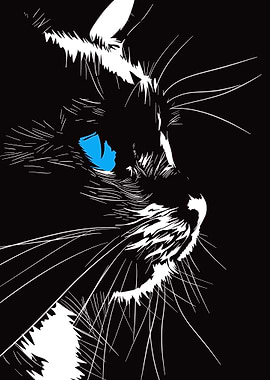 Black Cat with Blue Eyes