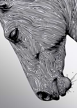Horse Head Line Art