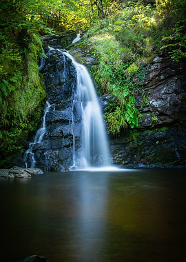 Waterfall in Lush Forest