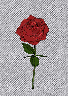 Single Red Rose Illustration