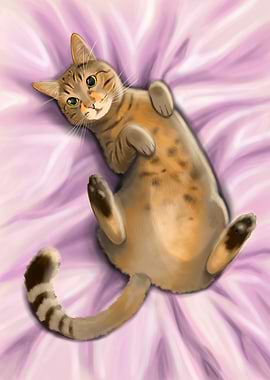 Cute Cat on Pink Blanket