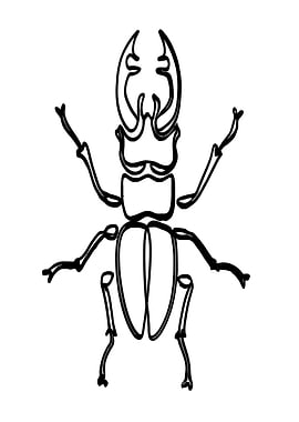 Stag Beetle Line Art