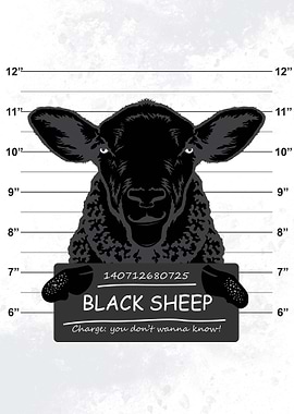 Black Sheep Mugshot