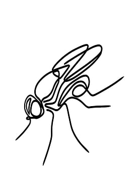 Fly Line Art