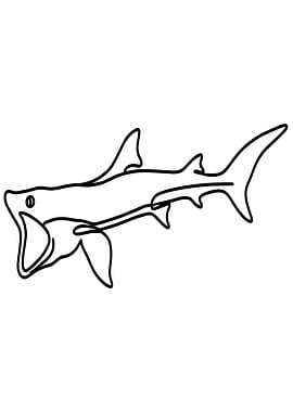 Basking Shark Line Art