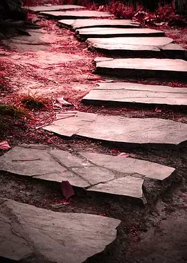 Stone Path in Red Forest