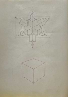 Geometric Perspective Drawing
