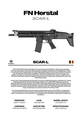 FN SCAR-L Assault Rifle
