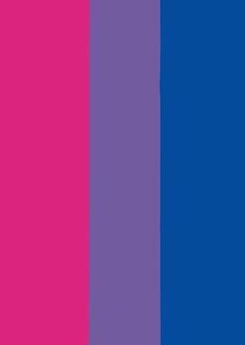 Bisexual Pride Flag