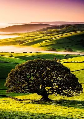 Sunrise Over Rolling Hills