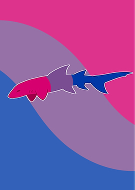Bisexual Shark