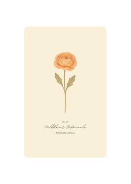 Wildflower Botanical Print