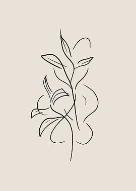 Floral Line Art