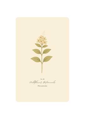 Wildflower Botanical Print