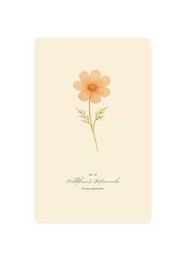 Wildflower Botanicals Print