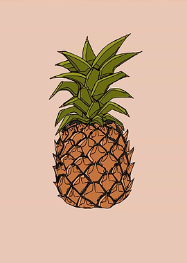 Pineapple Illustration