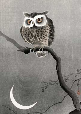 Owl on Branch with Crescent Moon
