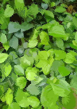 Green Foliage Abstract GP4