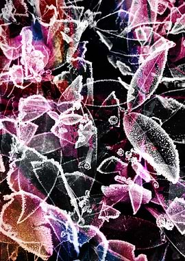Abstract Frost Pattern Photography Collage