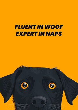 Doggo Napping Expert