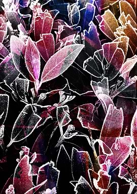 Abstract Floral Art Photography Collage