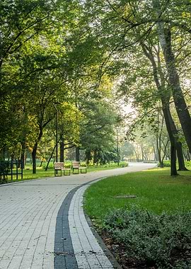 Park Path with Benches