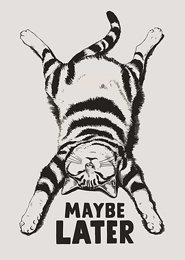 Sleeping Cat Illustration