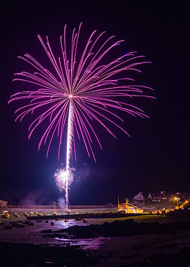 Purple Fireworks Display