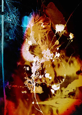 Abstract Ink Splotches