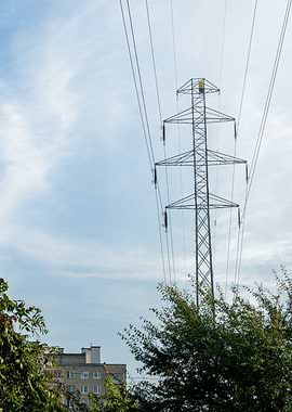 Power Lines and Trees