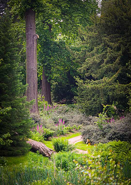 Forest Path with Flowers