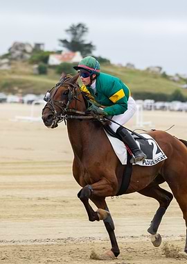 Horse Racing on the Beach