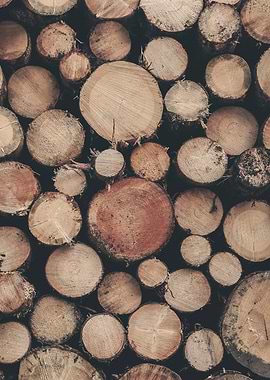 Dolomites, Italy I Stack of cut wood logs for a natural geometric round pattern with a rustic feel and cozy warmth of a farmhouse in the Italian countryside with a dark brown moody aesthetic